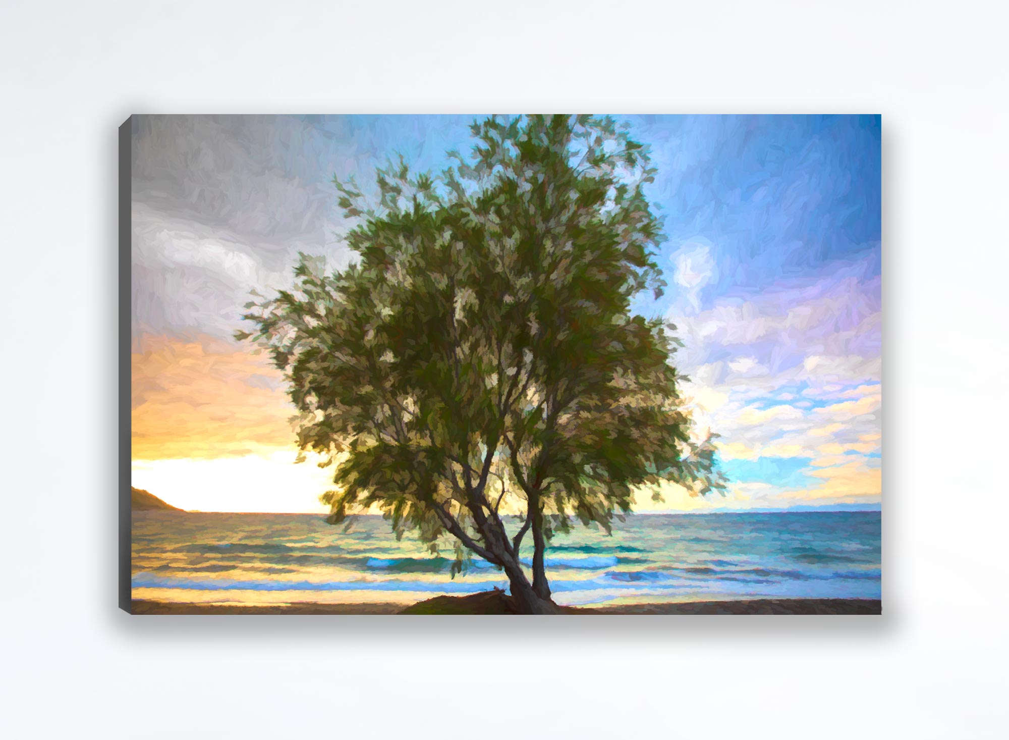 Willow by the Sea Canvas Print (Frame not Included)