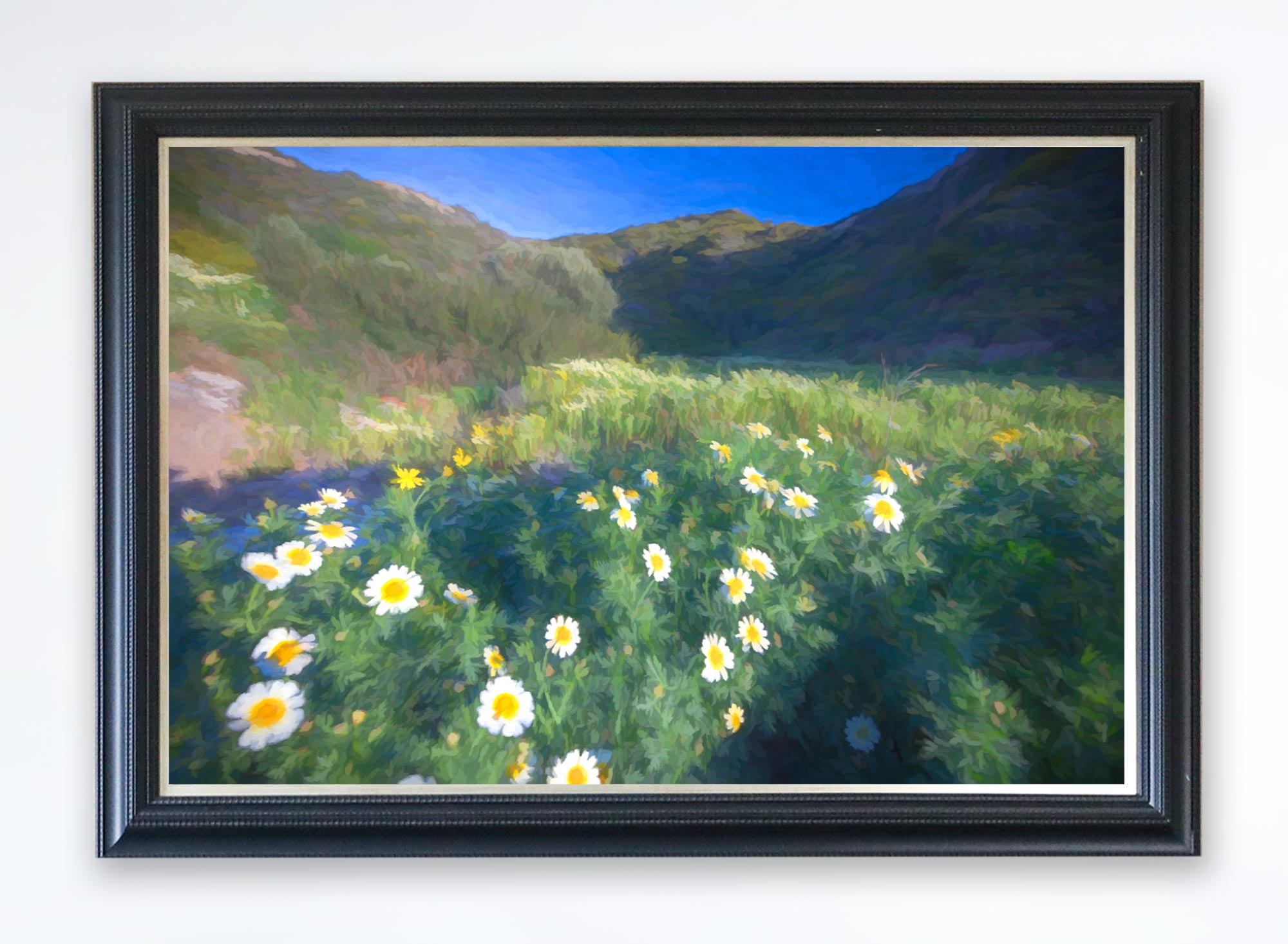 Daisies Canvas Print (Frame not Included)