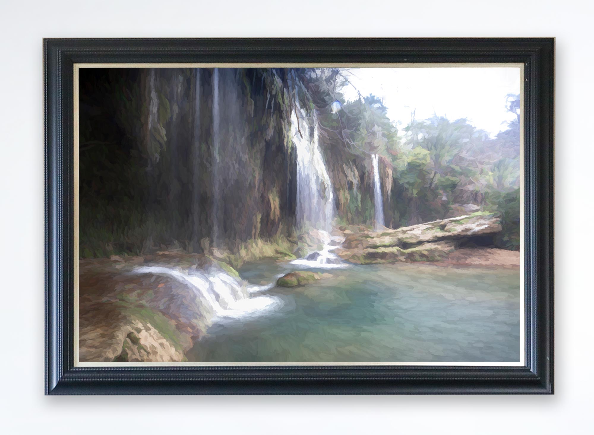 Paradise Canvas Print (Frame not Included)