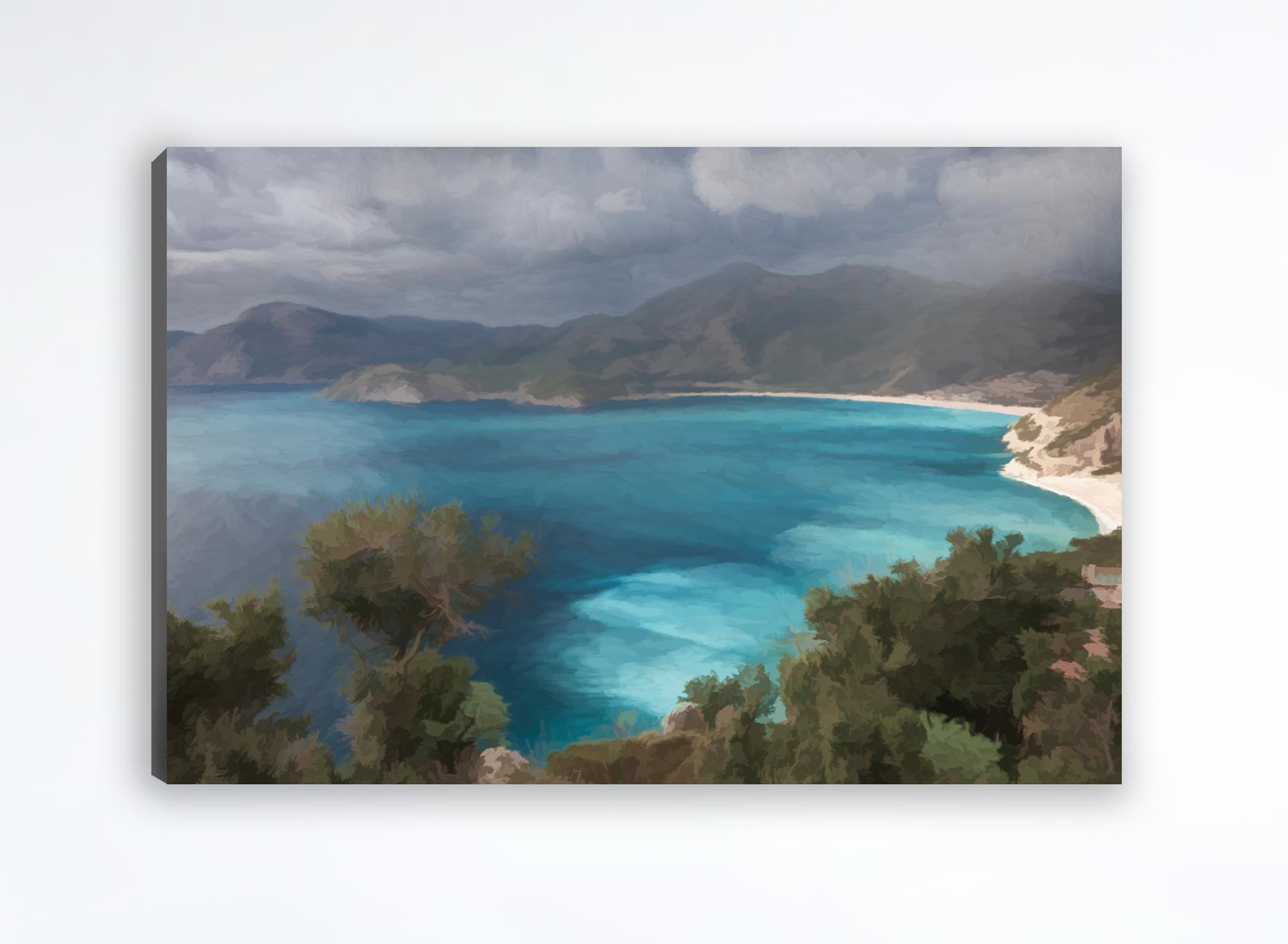 Deniz Canvas Print (Frame not Included)