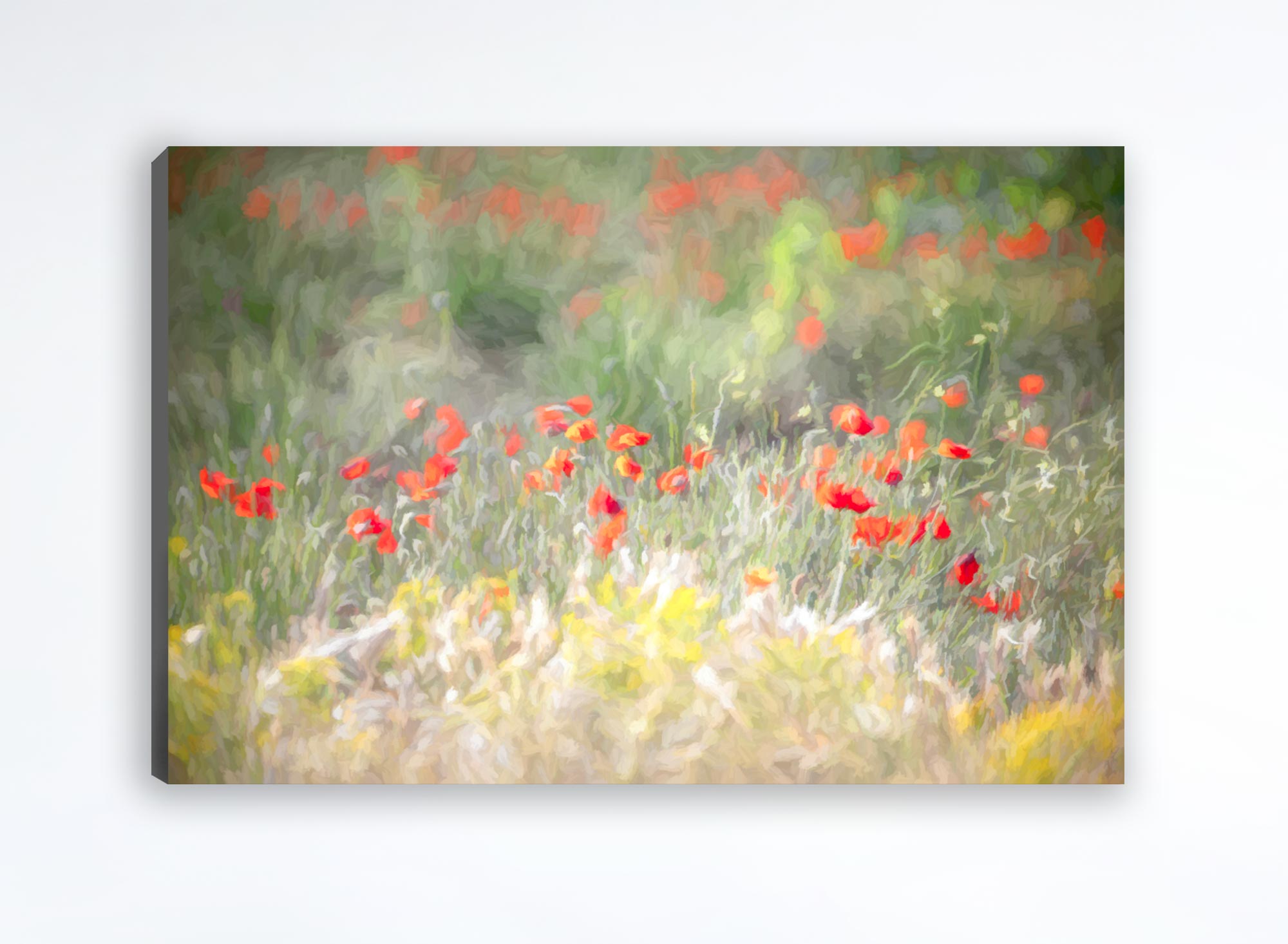 Afyon Canvas Print (Frame not Included)