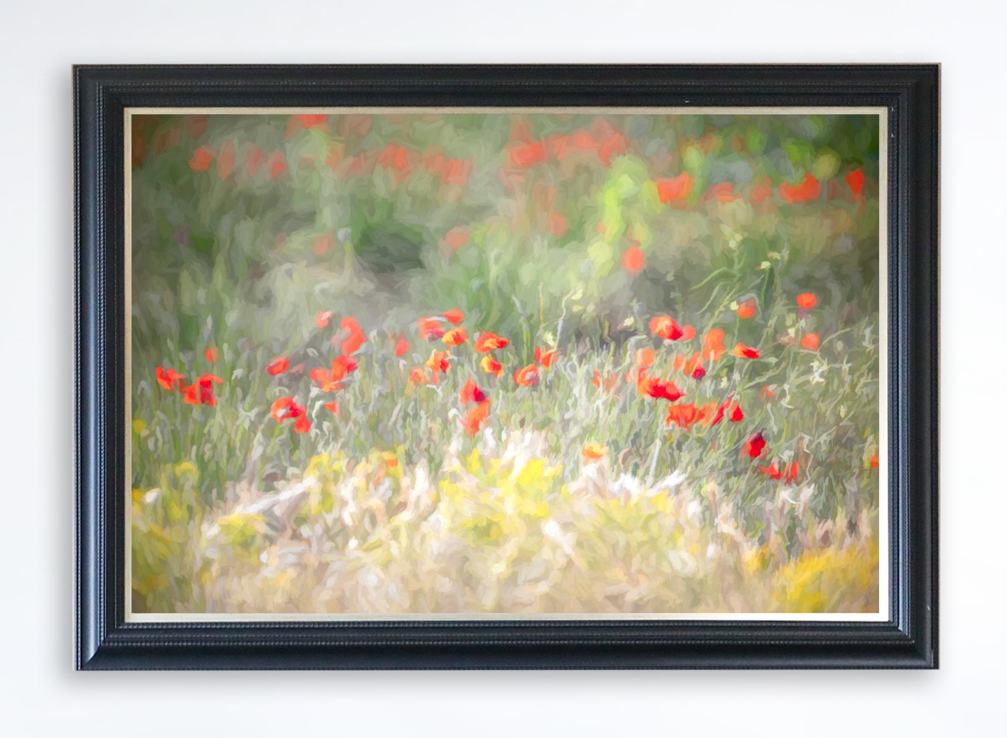 Afyon Canvas Print (Frame not Included)